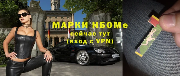 крисы Абаза