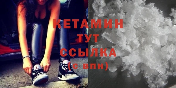 крисы Абаза