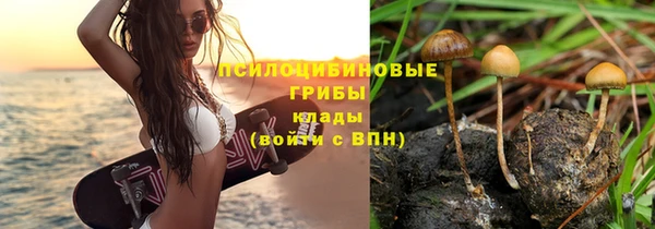 бошки Абдулино
