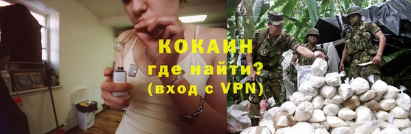 крисы Абаза