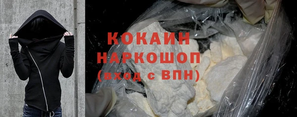 прущие грибы Ачинск