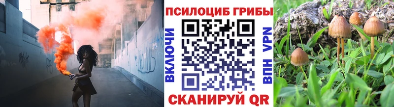 Псилоцибиновые грибы мицелий  даркнет сайт  Питкяранта 
